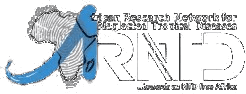 African Research Network for Neglected Tropical Diseases